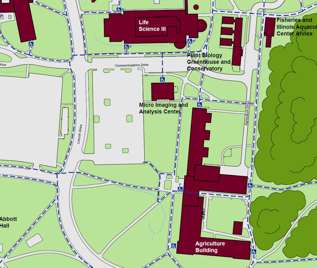 Displaying accessible pathways to the Micro Imaging and Analysis Center with a standard accessible entrance on the north side of the building.