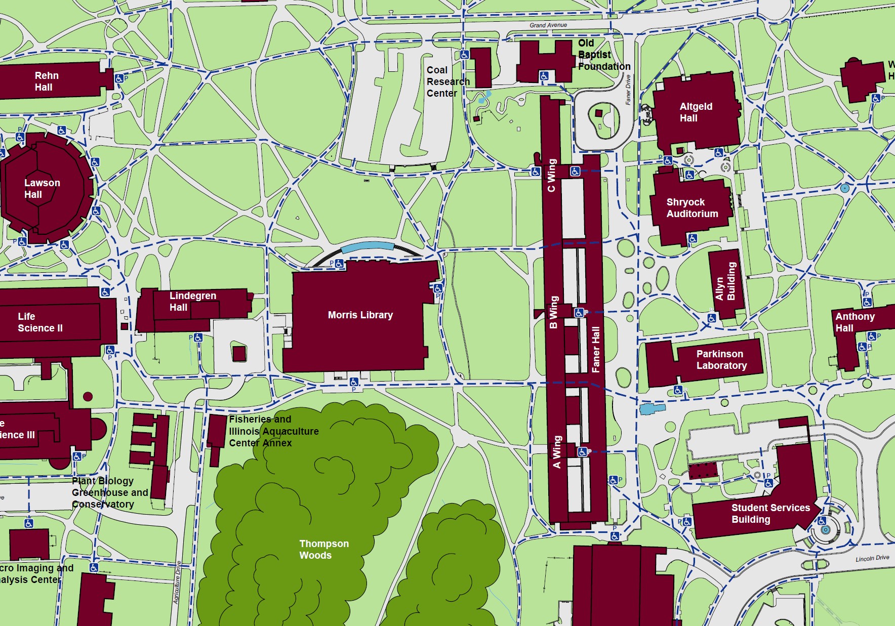 Displaying accessible pathways and entrances to enter Morris Library. Powered accessible entrances located on the North, east, and south ends of the building.